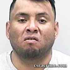 Dario Arturo Pulidofernandez booking photo