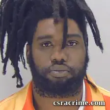 Darius Williams booking photo