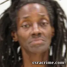 Darlene Bowman Wilson booking photo