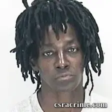 Darlene Wilson booking photo