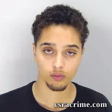 Darnella Bartley booking photo