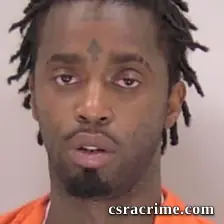Darryl Ladell Mingledolph booking photo