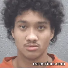 Daryl Lucas JR booking photo