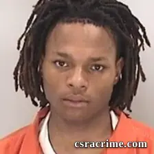 Dasani Jacque Wilkinson booking photo