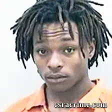 Dasani Wilkinson booking photo