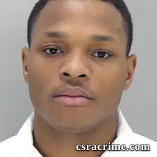 Dasani Wilkinson booking photo
