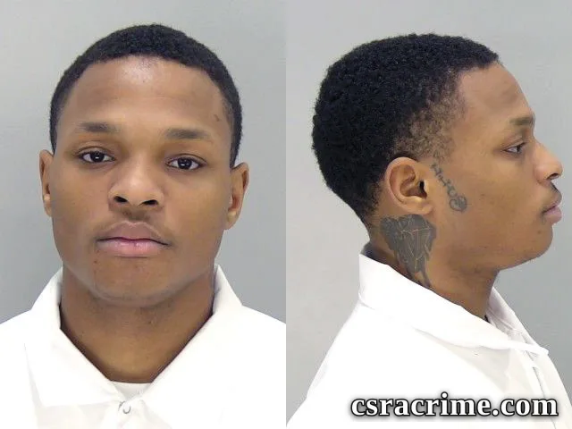 Dasani Wilkinson booking photo