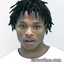 Dasani Wilkinson booking photo