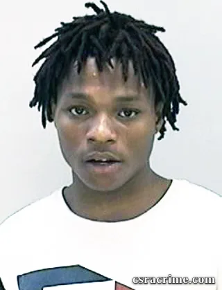 Dasani Wilkinson booking photo