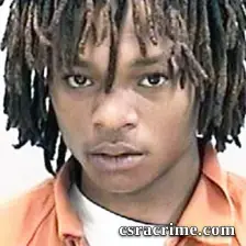 Dasani Wilkinson booking photo
