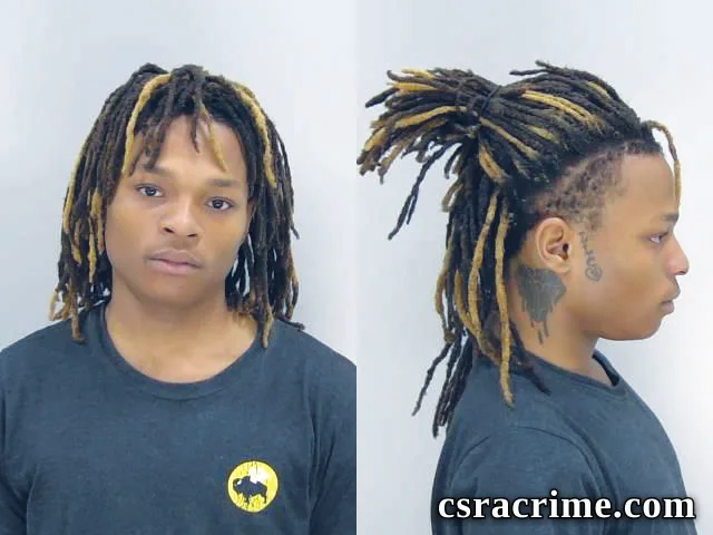 Dasani Wilkinson booking photo