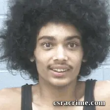 Dashaun Solomon booking photo