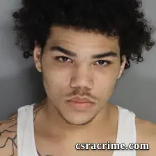 Dashaune Holmes booking photo