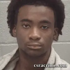 Dave Brooks booking photo