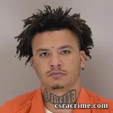 Davian Rowan booking photo