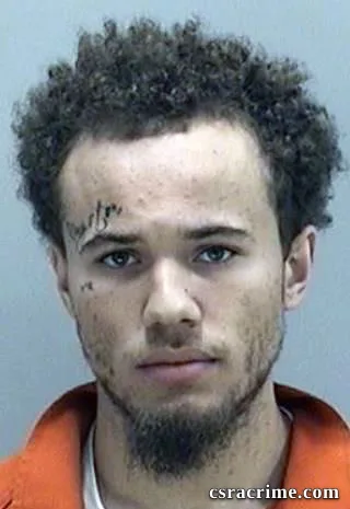 David Cousin booking photo