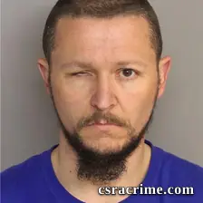 David Ellis booking photo