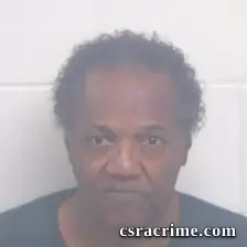 David Ellison booking photo