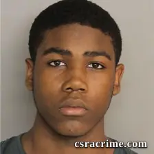 David Harling III booking photo