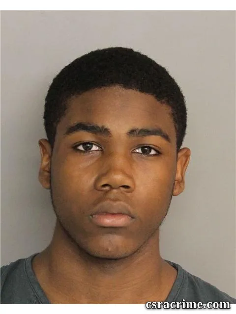 David Harling III booking photo