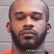 David Laws booking photo