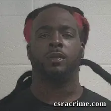 David Liven Terry Blanks booking photo
