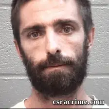 David Llewellyn booking photo
