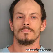 David Perkins II booking photo
