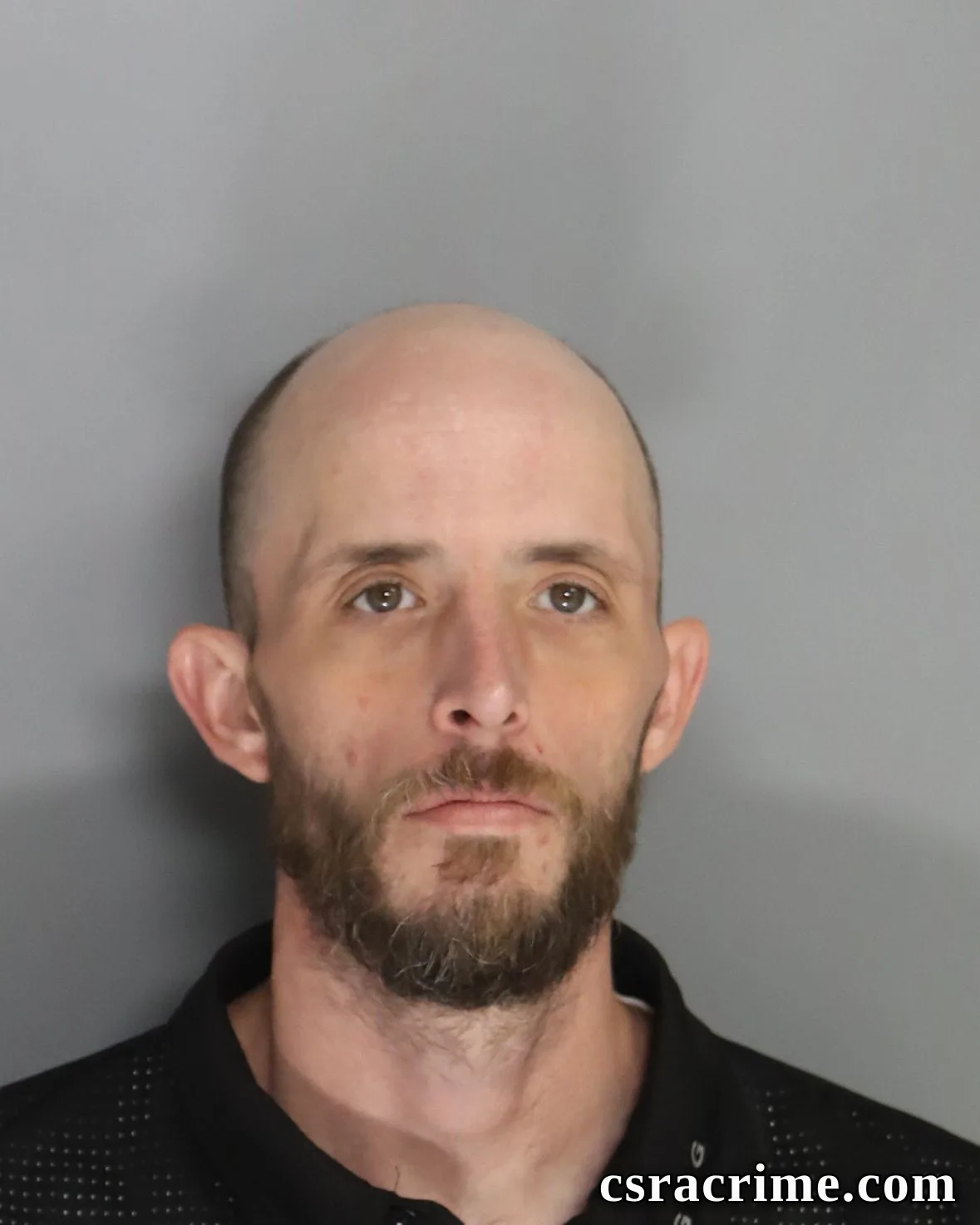 David Price JR booking photo