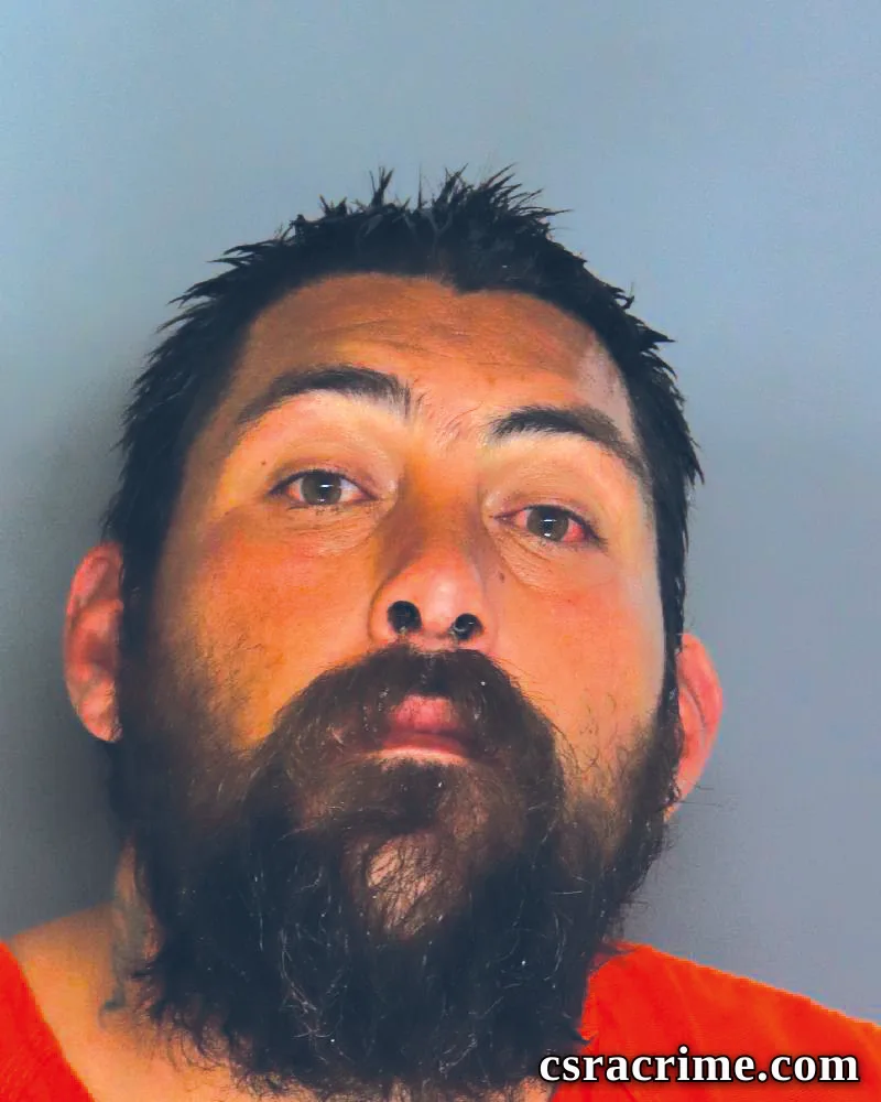 David Reed booking photo