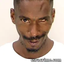 David Wallace booking photo