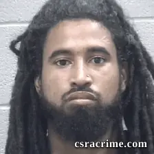 David Williams booking photo