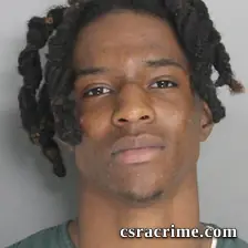 David Wise booking photo