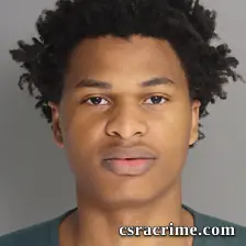 Davis Brown booking photo