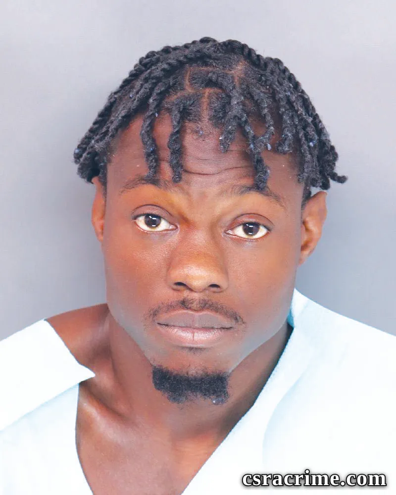 Davoyn Johnson booking photo