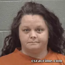 Dawn Michelle Chesser booking photo