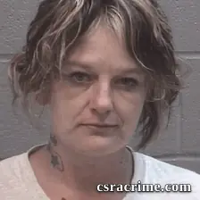 Dawn Wade booking photo