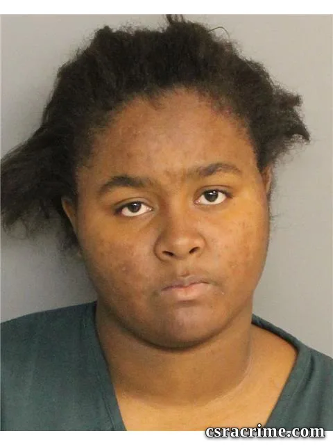Deanna Holston booking photo