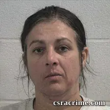 Deanna Lynn Dillard booking photo