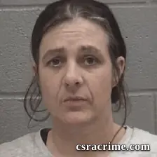 Deanna Lynn Dillard booking photo
