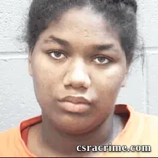 Debany Palmer booking photo