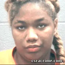 Debany Palmer booking photo