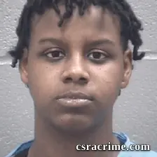 Deborah Armour booking photo