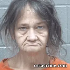Deborah Harris booking photo
