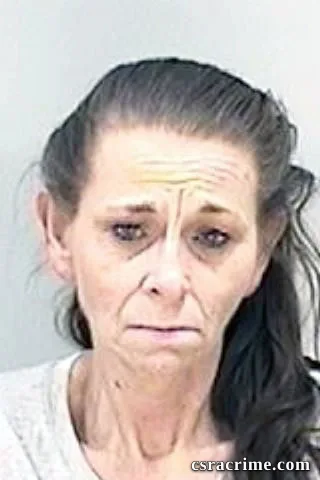 Deborah Sneed booking photo