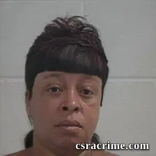 Debra Ann Windley booking photo