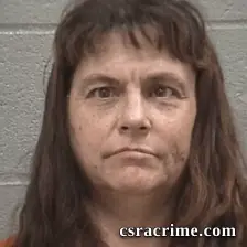 Debra Lynn Shanks booking photo