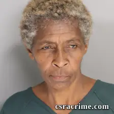 Debra Wooden booking photo