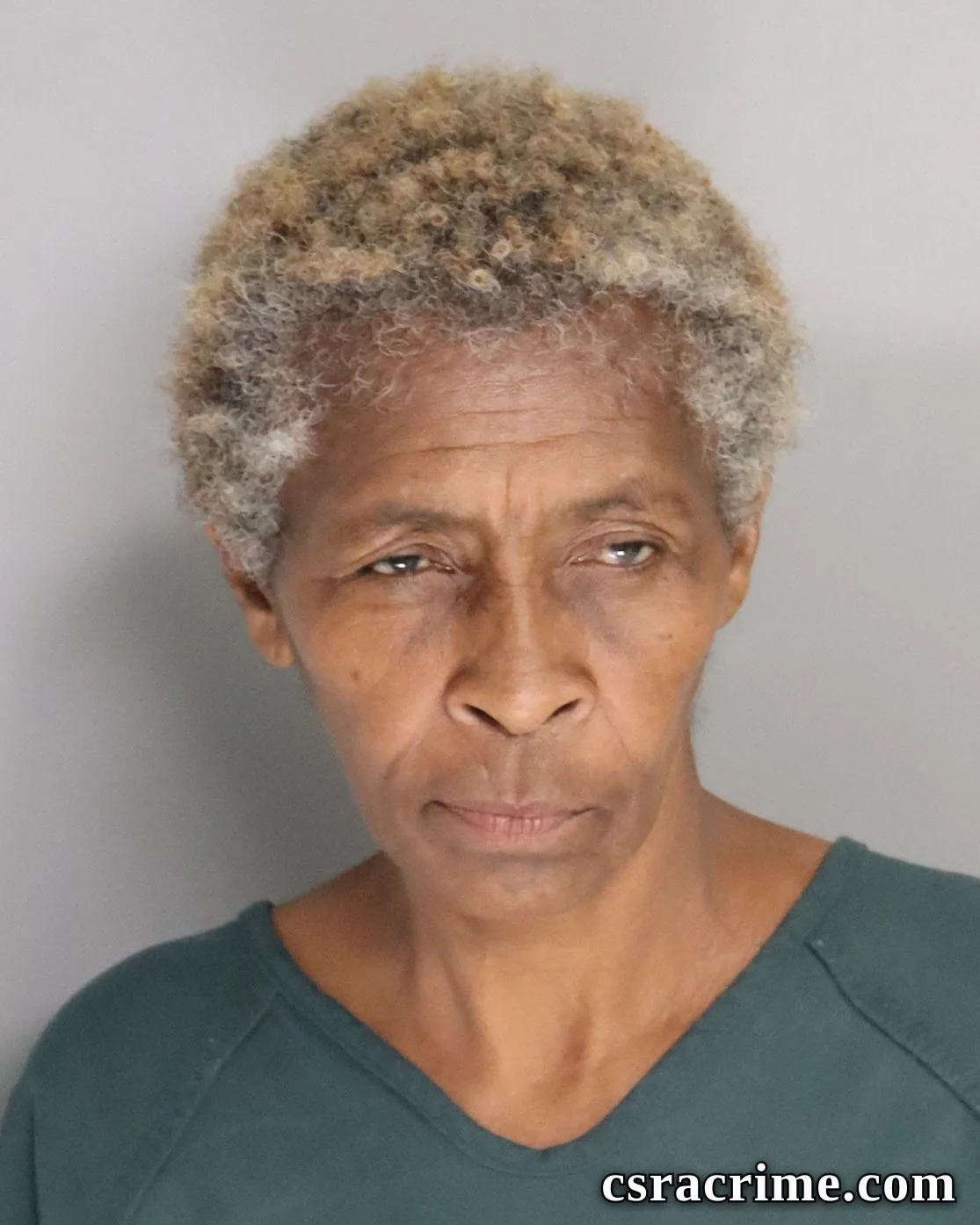 Debra Wooden booking photo