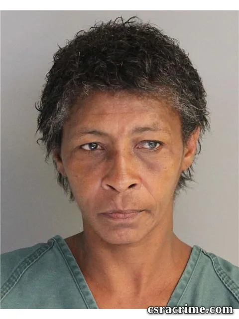 Debra Wooden booking photo